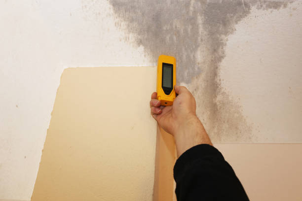 Best Indoor Air Quality Assessment  in Carson City, NV