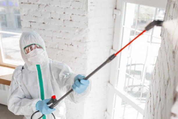 Best Post-Remediation Verification Testing  in Carson City, NV