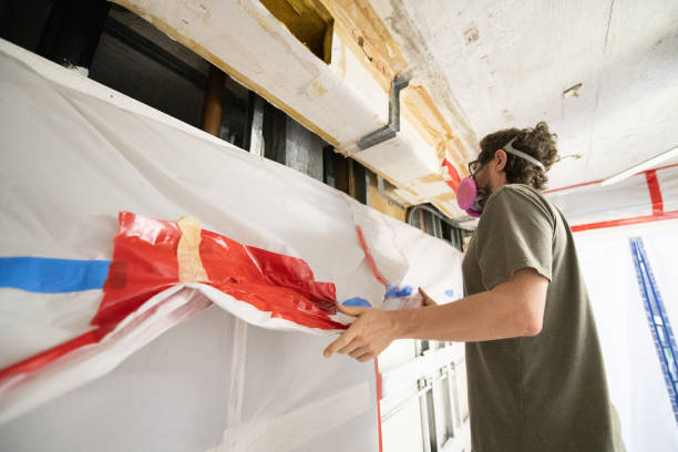 Trusted Carson City, NV Mold Removal Experts