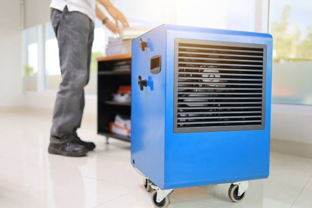 Best Airborne Mold Testing  in Carson City, NV